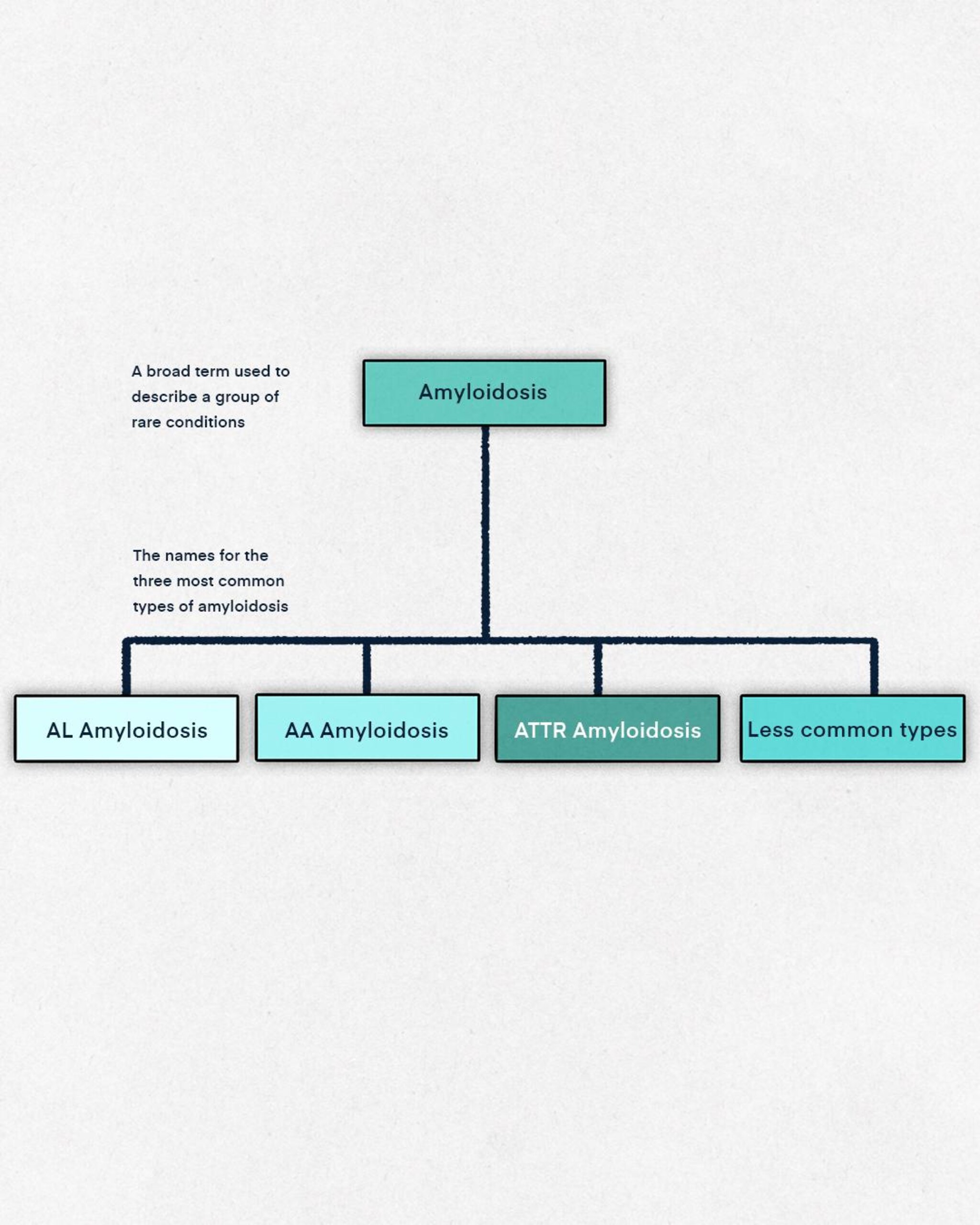 The three most common types of amyloidosis are AL amyloidosis, AA amyloidosis and ATTR amyloidosis.